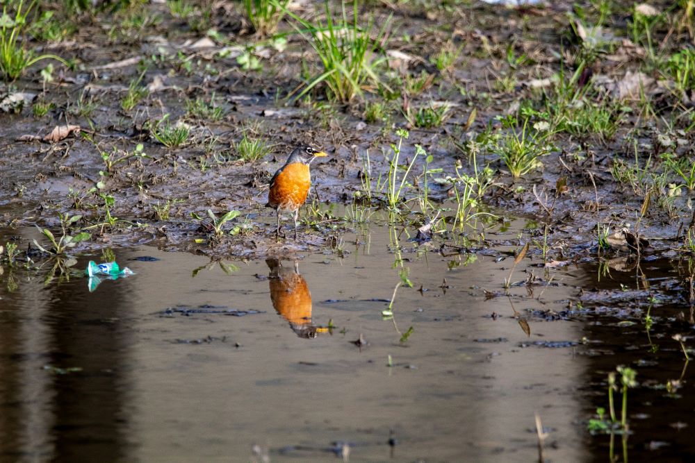PFAS pollute groundwater