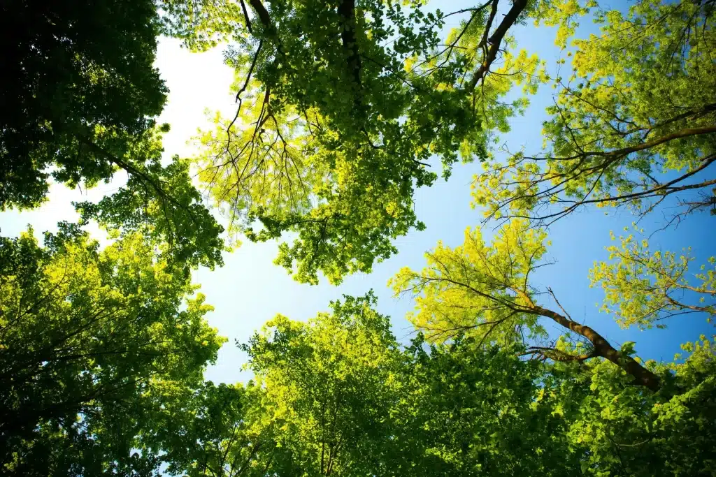 Resource conservation