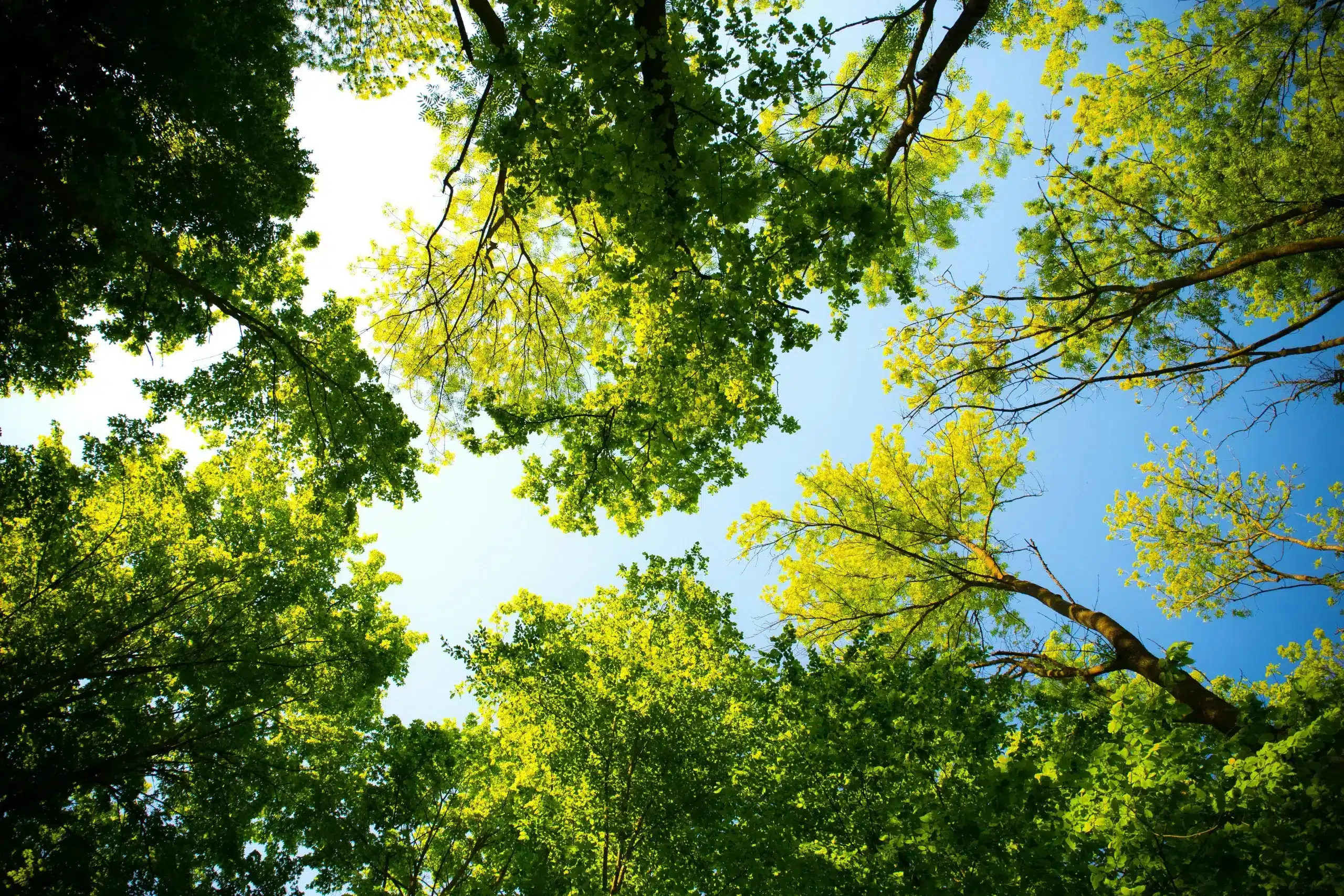 resource conservation