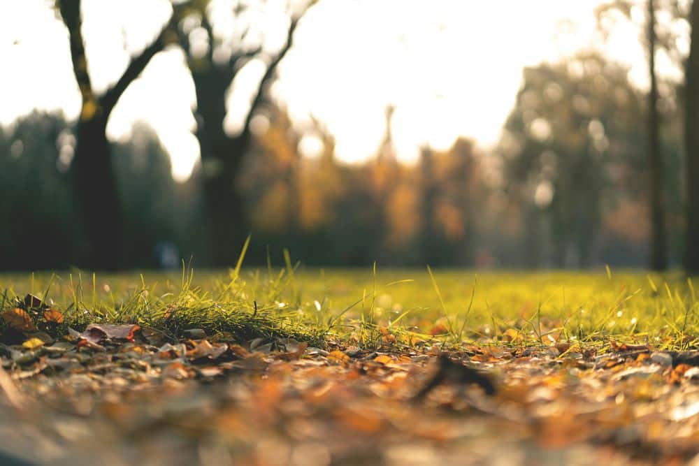 Ground source heat pumps